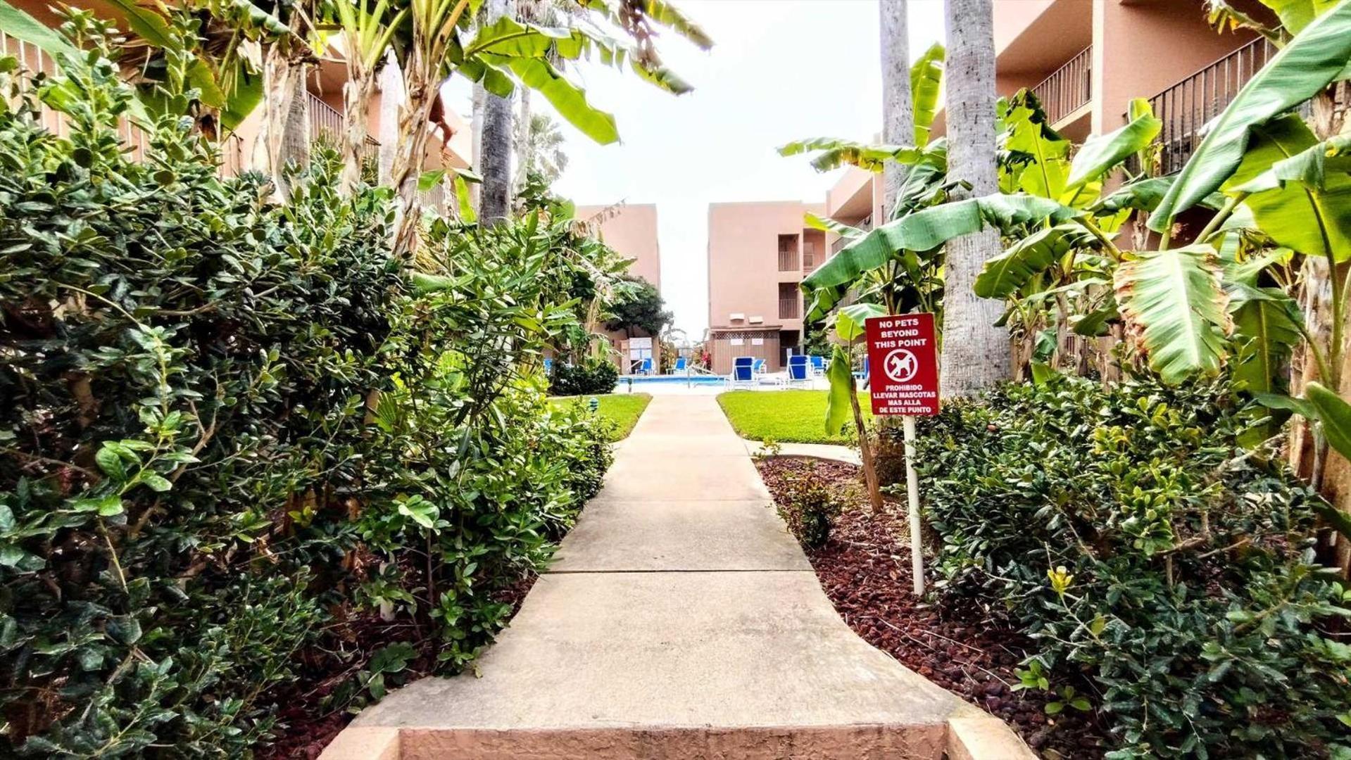 Beachview 206 Condominium Condo South Padre Island Εξωτερικό φωτογραφία